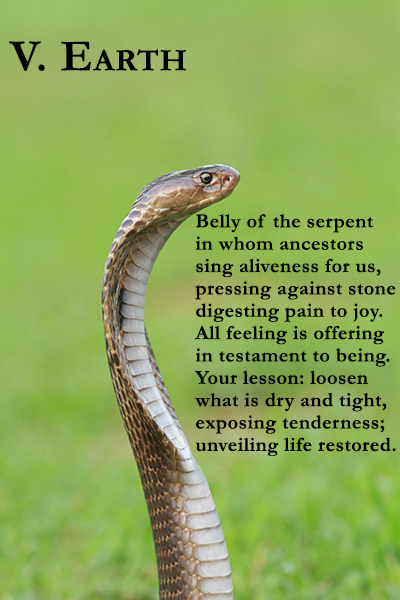 V. Earth 

Belly of the serpent
in whom ancestors
sing aliveness for us,
pressing against stone
digesting pain to joy.
All feeling is offering
in testament to being.
Your lesson: loosen
what is dry and tight,
exposing tenderness;
unveiling life restored.